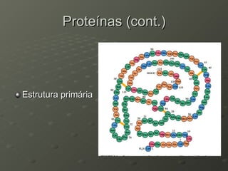 Proteínas (cont.) Estrutura primária 