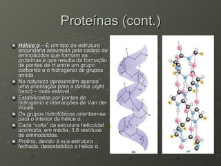 Proteínas (cont.) Hélice  α  – É um tipo de estrutura secundária assumida pela cadeia de aminoácidos que formam as proteínas e que resulta da formação de pontes de H entre um grupo carbonilo e o hidrogénio de grupos amida. Na natureza apresentam apenas uma orientação para a direita ( right hand ) – mais estável. Estabilizadas por pontes de hidrogénio e interacções de Van der Waals. Os grupos hidrofóbicos orientam-se para o interior da hélice  α . Cada “volta” da estrutura helicoidal acomoda, em média, 3,6 resíduos de aminoácidos. Prolina, devido à sua estrutura fechada, desestabiliza a hélice  α . 