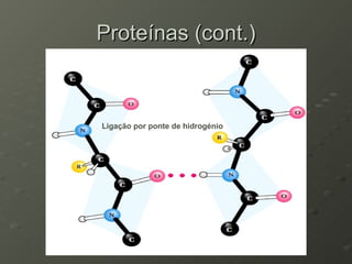 Proteínas (cont.) Ligação por ponte de hidrogénio 