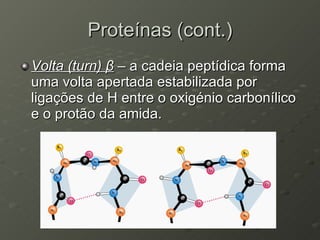 Proteínas (cont.) Volta (turn)  β  – a cadeia peptídica forma uma volta apertada estabilizada por ligações de H entre o oxigénio carbonílico e o protão da amida. 