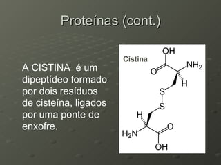 Proteínas (cont.) A CISTINA  é um dipeptídeo formado por dois resíduos de cisteína, ligados por uma ponte de enxofre. Cistina 