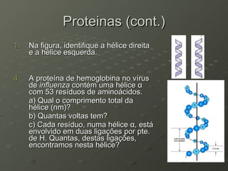 Proteinas (cont.) Na figura, identifique a hélice direita e a hélice esquerda. A proteína de hemoglobina no vírus de  influenza  contém uma hélice  α  com 53 resíduos de aminoácidos. a) Qual o comprimento total da  hélice (nm)? b) Quantas voltas tem? c) Cada resíduo, numa hélice  α , está envolvido em duas ligações por pte. de H. Quantas, destas ligações, encontramos nesta hélice?  