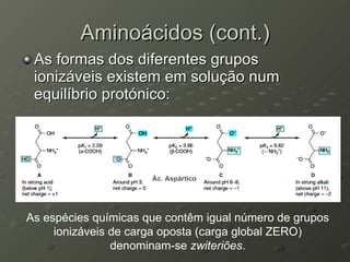 Aminoácidos (cont.) As formas dos diferentes grupos ionizáveis existem em solução num equilíbrio protónico: As espécies químicas que contêm igual número de grupos ionizáveis de carga oposta (carga global ZERO) denominam-se  zwiteriões . Ác. Aspártico 