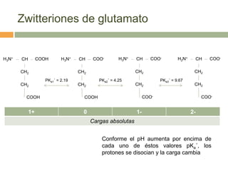 Zwitteriones de glutamato


H3N+   CH        COOH       H3N+   CH     COO-        H3N+   CH      COO-         H2N+        ...