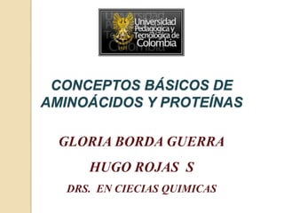 CONCEPTOS BÁSICOS DE AMINOÁCIDOS Y PROTEÍNAS GLORIA BORDA GUERRA HUGO ROJAS  S DRS.  EN CIECIAS QUIMICAS 