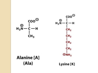 Ionización de aminoácidos<br />