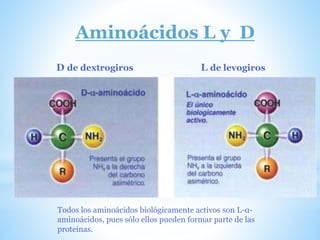Aminoácidos L y D
D de dextrogiros L de levogiros
Todos los aminoácidos biológicamente activos son L-α-
aminoácidos, pues ...