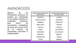 AMINOÁCIDOS
Algunos de los
aminoácidos proteicos no
pueden ser sintetizados
en los tejidos animales en
cantidades suficientes
para llenar las
necesidades metabólicas
de estos, por lo cual se les
da el nombre de
aminoácido esenciales o
indispensables.
 