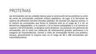 PROTEÍNAS
Los Aminoácidos son las unidades básicas para la construcción de las proteínas La unión
de varios de aminoácidos mediante enlaces peptídicos, da lugar a la formación de
cadenas de diferentes tamaños llamadas péptidos. De acuerdo con algunos autores, si
el número de aminoácidos que forma la molécula está en el rango de 2 a 10, se
denominan oligopéptidos, si es superior a 10 se llaman polipéptidos y si el número es
superior a 50 aminoácidos, se designan como proteínas. Las proteínas son polímeros de
aminoácidos, por lo tanto son moléculas de relativamente grandes, pertenecen a la
categoría de macromoléculas. Cientos o miles de aminoácidos forman una proteína.
Aunque, generalmente la mayoría caen en el rango de 80 a 300 aminoácidos por
subunidad proteica.
 