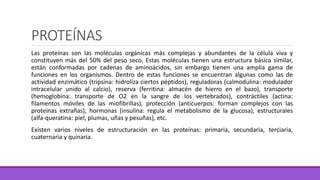 PROTEÍNAS
Las proteínas son las moléculas orgánicas más complejas y abundantes de la célula viva y
constituyen más del 50% del peso seco. Estas moléculas tienen una estructura básica similar,
están conformadas por cadenas de aminoácidos, sin embargo tienen una amplia gama de
funciones en los organismos. Dentro de estas funciones se encuentran algunas como las de
actividad enzimático (tripsina: hidroliza ciertos péptidos), reguladoras (calmodulina: modulador
intracelular unido al calcio), reserva (ferritina: almacén de hierro en el bazo), transporte
(hemoglobina: transporte de O2 en la sangre de los vertebrados), contráctiles (actina:
filamentos móviles de las miofibrillas), protección (anticuerpos: forman complejos con las
proteínas extrañas), hormonas (insulina: regula el metabolismo de la glucosa), estructurales
(alfa-queratina: piel, plumas, uñas y pesuñas), etc.
Existen varios niveles de estructuración en las proteínas: primaria, secundaria, terciaria,
cuaternaria y quinaria.
 