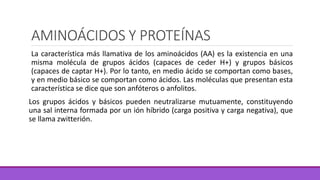 AMINOÁCIDOS Y PROTEÍNAS
La característica más llamativa de los aminoácidos (AA) es la existencia en una
misma molécula de grupos ácidos (capaces de ceder H+) y grupos básicos
(capaces de captar H+). Por lo tanto, en medio ácido se comportan como bases,
y en medio básico se comportan como ácidos. Las moléculas que presentan esta
característica se dice que son anfóteros o anfolitos.
Los grupos ácidos y básicos pueden neutralizarse mutuamente, constituyendo
una sal interna formada por un ión híbrido (carga positiva y carga negativa), que
se llama zwitterión.
 