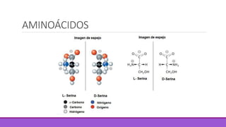 AMINOÁCIDOS
 