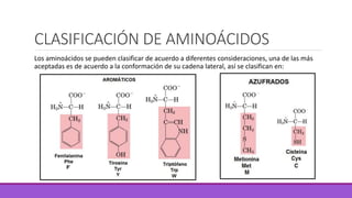 CLASIFICACIÓN DE AMINOÁCIDOS
Los aminoácidos se pueden clasificar de acuerdo a diferentes consideraciones, una de las más
aceptadas es de acuerdo a la conformación de su cadena lateral, así se clasifican en:
 