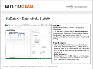Visuelle Gestaltung und Testdatenentwicklung mit BizDataX