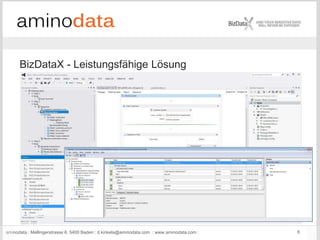 Visuelle Gestaltung und Testdatenentwicklung mit BizDataX