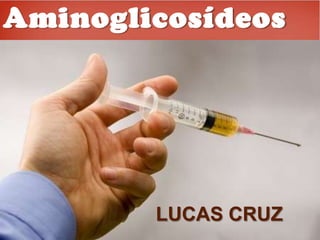 Aminoglicosídeos LUCAS CRUZ 