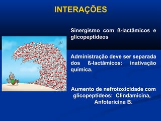 INTERAÇÕES

   Sinergismo com ß-lactâmicos e
   glicopeptídeos


   Administração deve ser separada
   dos ß-lactâmicos: inativação
   química.


   Aumento de nefrotoxicidade com
    glicopeptídeos: Clindamicina,
            Anfotericina B.
 