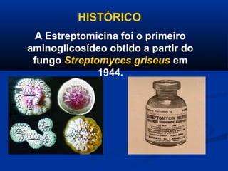 HISTÓRICO
  A Estreptomicina foi o primeiro
aminoglicosídeo obtido a partir do
 fungo Streptomyces griseus em
              1944.
 