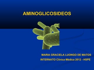 AMINOGLICOSIDEOS




      MARIA GRACIELA LUONGO DE MATOS
     INTERNATO Clínica Médica 2012 - HSPE
 