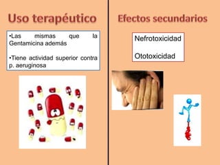 •Las mismas que la
Gentamicina además
•Tiene actividad superior contra
p. aeruginosa
Nefrotoxicidad
Ototoxicidad
 