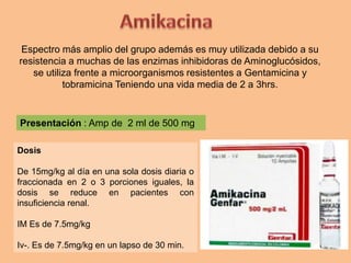 Espectro más amplio del grupo además es muy utilizada debido a su
resistencia a muchas de las enzimas inhibidoras de Aminoglucósidos,
se utiliza frente a microorganismos resistentes a Gentamicina y
tobramicina Teniendo una vida media de 2 a 3hrs.
Dosis
De 15mg/kg al día en una sola dosis diaria o
fraccionada en 2 o 3 porciones iguales, la
dosis se reduce en pacientes con
insuficiencia renal.
IM Es de 7.5mg/kg
Iv-. Es de 7.5mg/kg en un lapso de 30 min.
Presentación : Amp de 2 ml de 500 mg
 