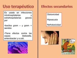Es usado en infecciones
intrahospitalarias y
extrahospitalarias graves
por
•bacilos gram – y gram +
aerobio
•Tiene efectos contra las
cepas: klebsiella,
enterobacter y e.coli.
Ototoxicidad
Hipoacusia
Nefrotoxicidad
 