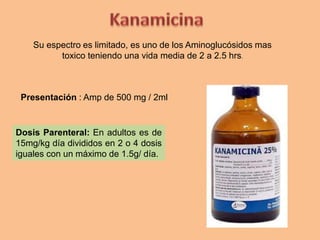 Su espectro es limitado, es uno de los Aminoglucósidos mas
toxico teniendo una vida media de 2 a 2.5 hrs.
Dosis Parenteral: En adultos es de
15mg/kg día divididos en 2 o 4 dosis
iguales con un máximo de 1.5g/ día.
Presentación : Amp de 500 mg / 2ml
 