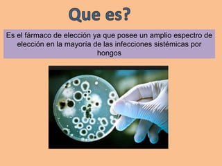 Es el fármaco de elección ya que posee un amplio espectro de
elección en la mayoría de las infecciones sistémicas por
hongos
 