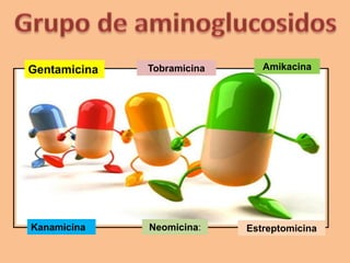 Gentamicina Tobramicina Amikacina
Kanamicina Neomicina: Estreptomicina
 