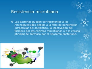 Resistencia microbiana 
 Las bacterias pueden ser resistentes a los 
Aminoglucósidos debido a la falta de penetración 
intracelular del antibiótico, la inactivación del 
fármaco por las enzimas microbianas o a la escasa 
afinidad del fármaco por el ribosoma bacteriano. 
 