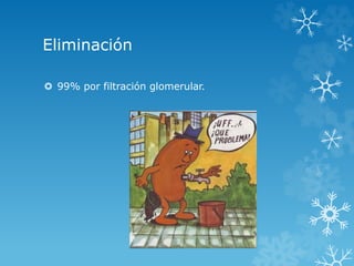 Eliminación 
 99% por filtración glomerular. 
 