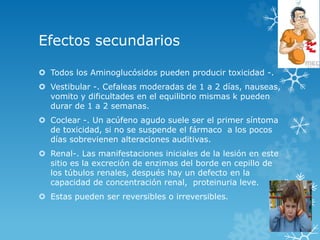 Efectos secundarios 
 Todos los Aminoglucósidos pueden producir toxicidad -. 
 Vestibular -. Cefaleas moderadas de 1 a 2 días, nauseas, 
vomito y dificultades en el equilibrio mismas k pueden 
durar de 1 a 2 semanas. 
 Coclear -. Un acúfeno agudo suele ser el primer síntoma 
de toxicidad, si no se suspende el fármaco a los pocos 
días sobrevienen alteraciones auditivas. 
 Renal-. Las manifestaciones iniciales de la lesión en este 
sitio es la excreción de enzimas del borde en cepillo de 
los túbulos renales, después hay un defecto en la 
capacidad de concentración renal, proteinuria leve. 
 Estas pueden ser reversibles o irreversibles. 
 