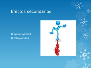 Efectos secundarios 
 Nefrotoxicidad 
 Ototoxicidad 
 