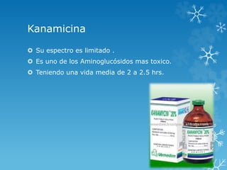 Kanamicina 
 Su espectro es limitado . 
 Es uno de los Aminoglucósidos mas toxico. 
 Teniendo una vida media de 2 a 2.5 hrs. 
 