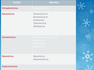 Familia Miembro 
Familias Químicas 
Estreptomicina Estreptomicina 
Kanamicina Kanamicina A 
Kanamicina B 
Amikacina 
Tobramicina 
Dibekacina 
Gentamicina Gentamicina C1,C1a,C2 
Sisomicina 
Netilmicina 
Isepamicina 
Neomicina Neomicina 
Paramomicina 
Espectomicina 
 