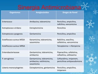 Sinergia Antimicrobiana 
Organismos Amiglucósidos Drogas de Pared 
Enterococo Amikacina, tobramicina Penicilina, ampicilina, 
nafcilina, vancomicina 
Estreptococo viridans Estreptomicina Penicilina 
Estreptococo pyogenes Gentamicina Penicilina, ampicilina 
Estafilococo aureus MSSA Kanamicina, tobramicina, 
sosomicina 
Nafcilina, oxacilina, 
cefalotina, vancomicina 
Estafilococo aureus MRSA Teicoplanina + rifampicina 
Enterobacteriaceae Gentamicina, tobramicina, 
amikacina 
Piperacilina, cefalotina, 
cefoxitina, cefotaxima 
P. aeruginosa Gentamicina, tobramicina, 
amikacina, netilmicina, 
sosomicina 
Ceftazidima, imipenem, 
penicilinas antipseudomona 
Listeria monocytogenes Estreptomicina, gentamicina Penicilina, ampicilina, 
imipenem 
 