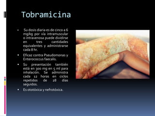 Tobramicina 
 Su dosis diaria es de cinco a 6 
mg/kg por vía intramuscular 
o intravenosa puede dividirse 
en tres cantidades 
equivalentes y administrarse 
cada 8 hr. 
 Eficaz contra Pseudomonas y 
Enterococcus faecalis. 
 Su presentación también 
está en 300 mg en 5 ml para 
inhalación. Se administra 
cada 12 horas en ciclos 
repetidos de 28 días 
seguidos. 
 Es ototóxica y nefrotóxica. 
 