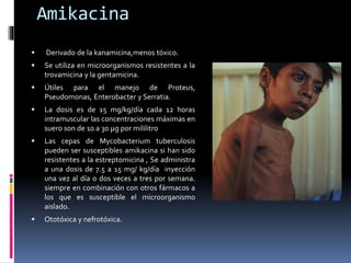 Amikacina 
 Derivado de la kanamicina,menos tóxico. 
 Se utiliza en microorganismos resistentes a la 
trovamicina y la gentamicina. 
 Útiles para el manejo de Proteus, 
Pseudomonas, Enterobacter y Serratia. 
 La dosis es de 15 mg/kg/día cada 12 horas 
intramuscular las concentraciones máximas en 
suero son de 10 a 30 μg por mililitro 
 Las cepas de Mycobacterium tuberculosis 
pueden ser susceptibles amikacina si han sido 
resistentes a la estreptomicina , Se administra 
a una dosis de 7.5 a 15 mg/ kg/día inyección 
una vez al día o dos veces a tres por semana. 
siempre en combinación con otros fármacos a 
los que es susceptible el microorganismo 
aislado. 
 Ototóxica y nefrotóxica. 

