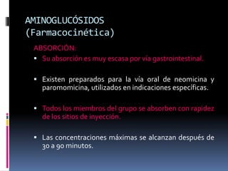 AMINOGLUCÓSIDOS 
(Farmacocinética) 
ABSORCIÓN: 
 Su absorción es muy escasa por vía gastrointestinal. 
 Existen preparados para la vía oral de neomicina y 
paromomicina, utilizados en indicaciones específicas. 
 Todos los miembros del grupo se absorben con rapidez 
de los sitios de inyección. 
 Las concentraciones máximas se alcanzan después de 
30 a 90 minutos. 
 