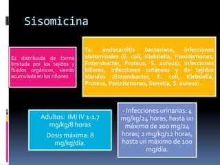 Sisomicina 
Es distribuida de forma 
limitada por los tejidos y 
fluidos orgánicos, siendo 
acumulada en los riñones 
Tx: endocarditis bacteriana, infecciones 
abdominales (E. coli, Klebsiella, Pseudomonas, 
Enterobacter, Proteus, S. aureus), infecciones 
biliares, infecciones cutáneas y de tejidos 
blandos (Enterobacter, E. coli, Klebsiella, 
Proteus, Pseudomonas, Serratia, S. aureus). 
Adultos: IM/ IV 1-1.7 
mg/kg/8 horas 
Dosis máxima: 8 
mg/kg/día. 
- Infecciones urinarias: 4 
mg/kg/24 horas, hasta un 
máximo de 200 mg/24 
horas; 2 mg/kg/12 horas, 
hasta un máximo de 100 
mg/día. 
 