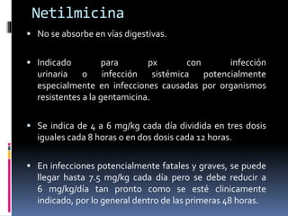 Netilmicina 
 No se absorbe en vías digestivas. 
 Indicado para px con infección 
urinaria o infección sistémica potencialmente 
especialmente en infecciones causadas por organismos 
resistentes a la gentamicina. 
 Se indica de 4 a 6 mg/kg cada día dividida en tres dosis 
iguales cada 8 horas o en dos dosis cada 12 horas. 
 En infecciones potencialmente fatales y graves, se puede 
llegar hasta 7.5 mg/kg cada día pero se debe reducir a 
6 mg/kg/día tan pronto como se esté clinicamente 
indicado, por lo general dentro de las primeras 48 horas. 
 