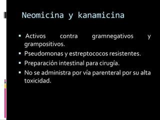 Neomicina y kanamicina 
 Activos contra gramnegativos y 
grampositivos. 
 Pseudomonas y estreptococos resistentes. 
 Preparación intestinal para cirugía. 
 No se administra por vía parenteral por su alta 
toxicidad. 
 