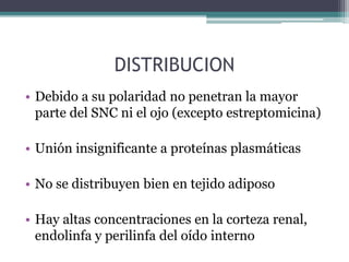 DISTRIBUCION
• Debido a su polaridad no penetran la mayor
parte del SNC ni el ojo (excepto estreptomicina)
• Unión insignificante a proteínas plasmáticas
• No se distribuyen bien en tejido adiposo
• Hay altas concentraciones en la corteza renal,
endolinfa y perilinfa del oído interno
 