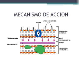 MECANISMO DE ACCION
 