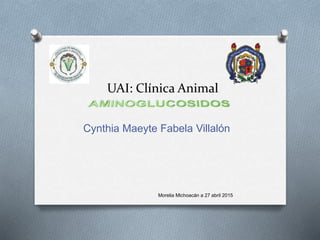 UAI: Clínica Animal
Cynthia Maeyte Fabela Villalón
Morelia Michoacán a 27 abril 2015
 