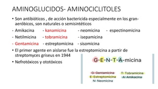 AMINOGLUCIDOS- AMINOCICLITOLES
• Son antibióticos , de acción bactericida especialmente en los gran-
aeróbicos, son naturales o semisintéticos
- Amikacina - kanamicina - neomicina - espectinomicina
- Netilmicina - tobramicina - isepamicina
- Gentamicina - estreptomicina - sisomicina
• El primer agente en aislarse fue la estreptomicina a partir de
streptomyces griseus en 1944
• Nefrotóxicos y ototóxicos
 