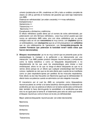 urinario (proteinurias en 24h, creatininas en 24h y todo un análisis completo de
cleans en 24h.)y permite el monitoreo del paciente que está bajo tratamiento
con AMG.
Potencia en nefrotoxicidad: (en orden creciente).++++mas nefrotóxico.
Estreptomicina.+
Gentamicina.++
Tobramicina.+++
Neomicina.++++
Exceptuando a Amikacina y netilmicina.
El efecto nefrotóxico puede darse por el numero de ciclos administrado, por
potenciación con otro fármaco nefrotóxico, cosa muy común puesto que casi
nunca se administra AMG solos sino con otros antibióticos por su poder
sinérgico esto se vé con vancomicina es muy común, con cisplatino que es
un antineoplásico, con ciscloporina que es un inmunosupresor con cefalotina
que es una cefalosporina de 1generacion, con furosemida.(pregunta de
examen Farmacos que potencian la toxicidad renal? todos estos que
fueron mencionados).
3- Bloqueo neuromuscular: ya no es muy común que se presente pues ya los
anestesiólogos lo manejan a la perfección y es básicamente por una
interacción. Los AMG pueden producir bloqueo neuromuscular y comportarse
como la toxina botulínica o como un bloqueante despolarizante o no
despolarizante de los que usan los anestesiólogos para intubar a nivel
endotraqueal, ahora no es que no tenga el efecto bloqueante es que no lo
vemos ahora porque es un efecto que cualquier anestesiólogo bien formado
conoce. repitiendo es raro que se de este efecto pero cuando da se manifiesta
como un paro respiratorio-apnea por parálisis de los músculos respiratorios.
Este efecto se da más frecuente con Neomicina igual que la nefrotoxicidad. El
efecto toxico se potencia cuando se administra con otro relajante muscular.
El mecanismo por el cual los AMG se comportan como bloqueadores
neuromusculares es similar a la toxina botulínica disminuyendo la liberación de
acetilcolina por eso se potencia el efecto con la toxina siendo esta combinación
letal, también lo hace disminuyendo la sensibilidad a la acetilcolina que esto
sino no es igual para la toxina B. el tratamiento para esto es calcio que revierte
el bloqueo neuromusc como lo hace con la oto y la nefrotoxicidad.
Mayor potencia bloqueante neuromuscular: (en orden decreciente)
Neomicina.
Kanamicina
Amikacina
Gentamicina
Tobramicina.
 