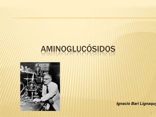 AMINOGLUCÓSIDOS




                  Ignacio Bari Lignaquy

                                   1
 