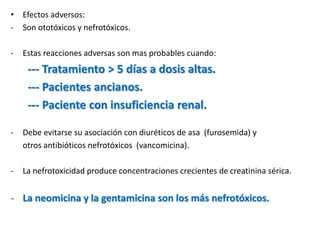 • Efectos adversos:
- Son ototóxicos y nefrotóxicos.
- Estas reacciones adversas son mas probables cuando:
--- Tratamiento > 5 días a dosis altas.
--- Pacientes ancianos.
--- Paciente con insuficiencia renal.
- Debe evitarse su asociación con diuréticos de asa (furosemida) y
otros antibióticos nefrotóxicos (vancomicina).
- La nefrotoxicidad produce concentraciones crecientes de creatinina sérica.
- La neomicina y la gentamicina son los más nefrotóxicos.
 
