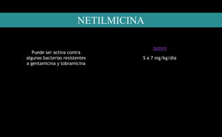 Puede ser activa contra
algunas bacterias resistentes
a gentamicina y tobramicina
DOSIS
5 a 7 mg/kg/día
NETILMICINA
 